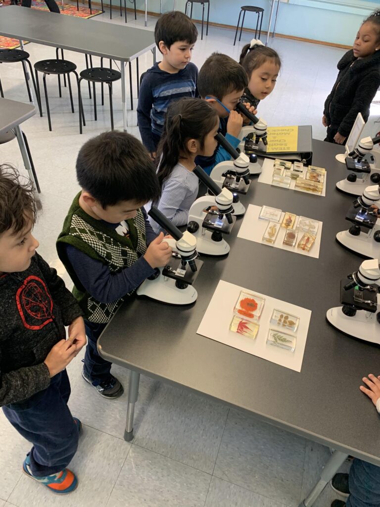 live learning lab