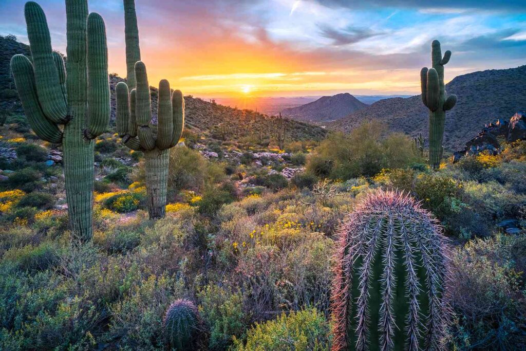 Arizona online education, virtual charter school Arizona, online learning anywhere in Arizona, EDUPRIZE online program