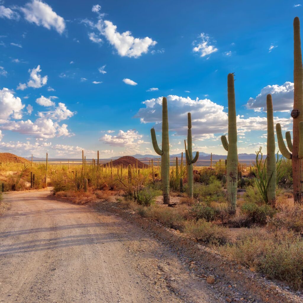 Arizona online schooling, virtual education Arizona, online charter school Arizona, EDUPRIZE online learning Would you like to learn more? Contact us today! 📚🚀