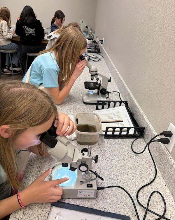 Gilbert STEM school students working on hands-on science and technology projects