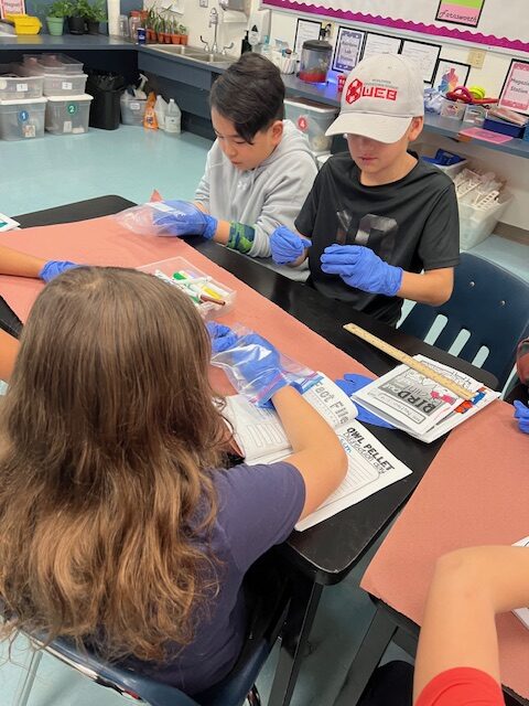 Safe learning environment at EDUPRIZE