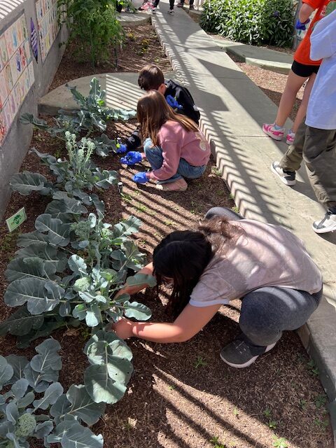 STEM education Gilbert Queen Creek