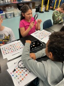 The EDUPRIZE FLEX Program offers flexible, personalized learning in Gilbert & Queen Creek. Find out if it’s the right fit for your child.